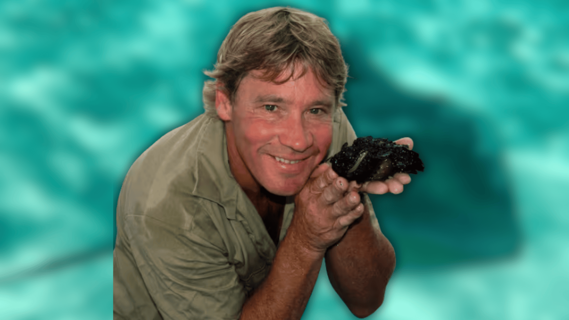 Cause of death of Steve Irwin
