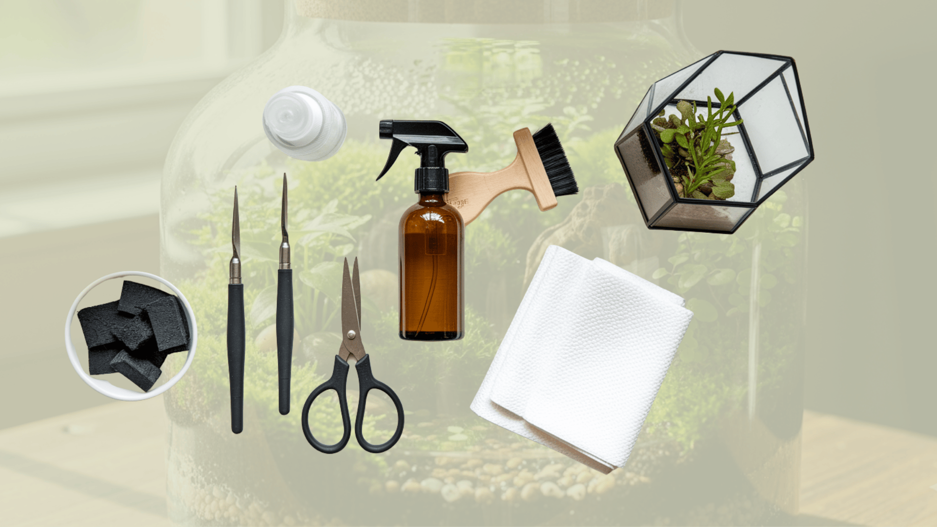 DIY Terrarium Problems