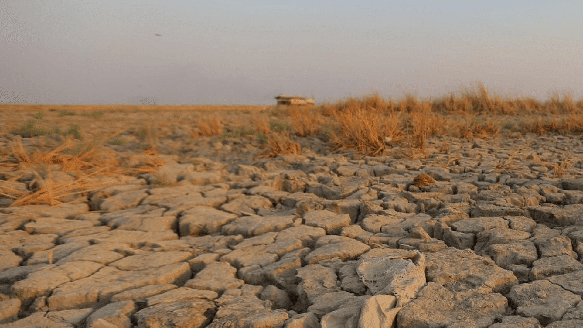 Syria Drought Before War