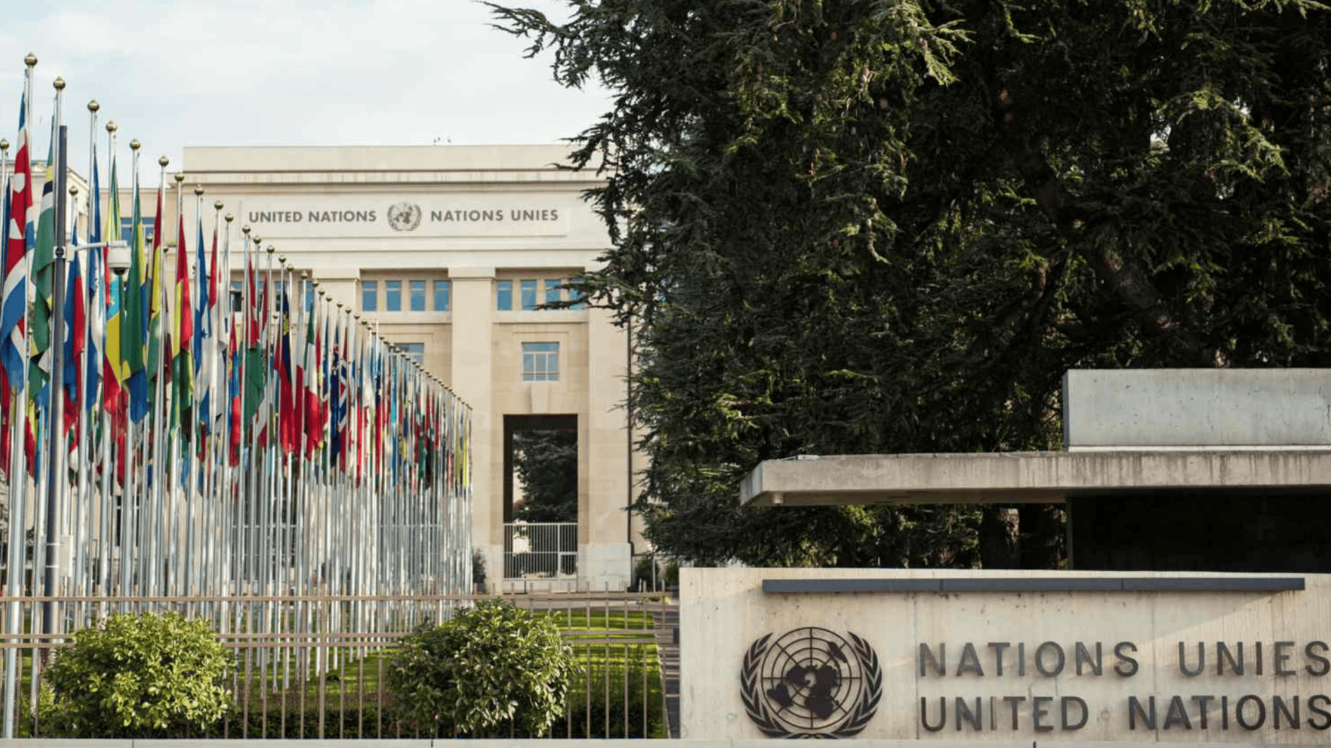 United Nations