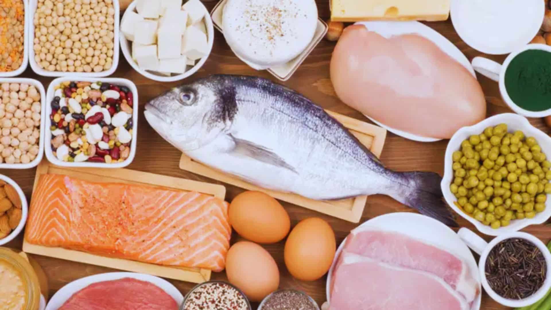 animal based protien