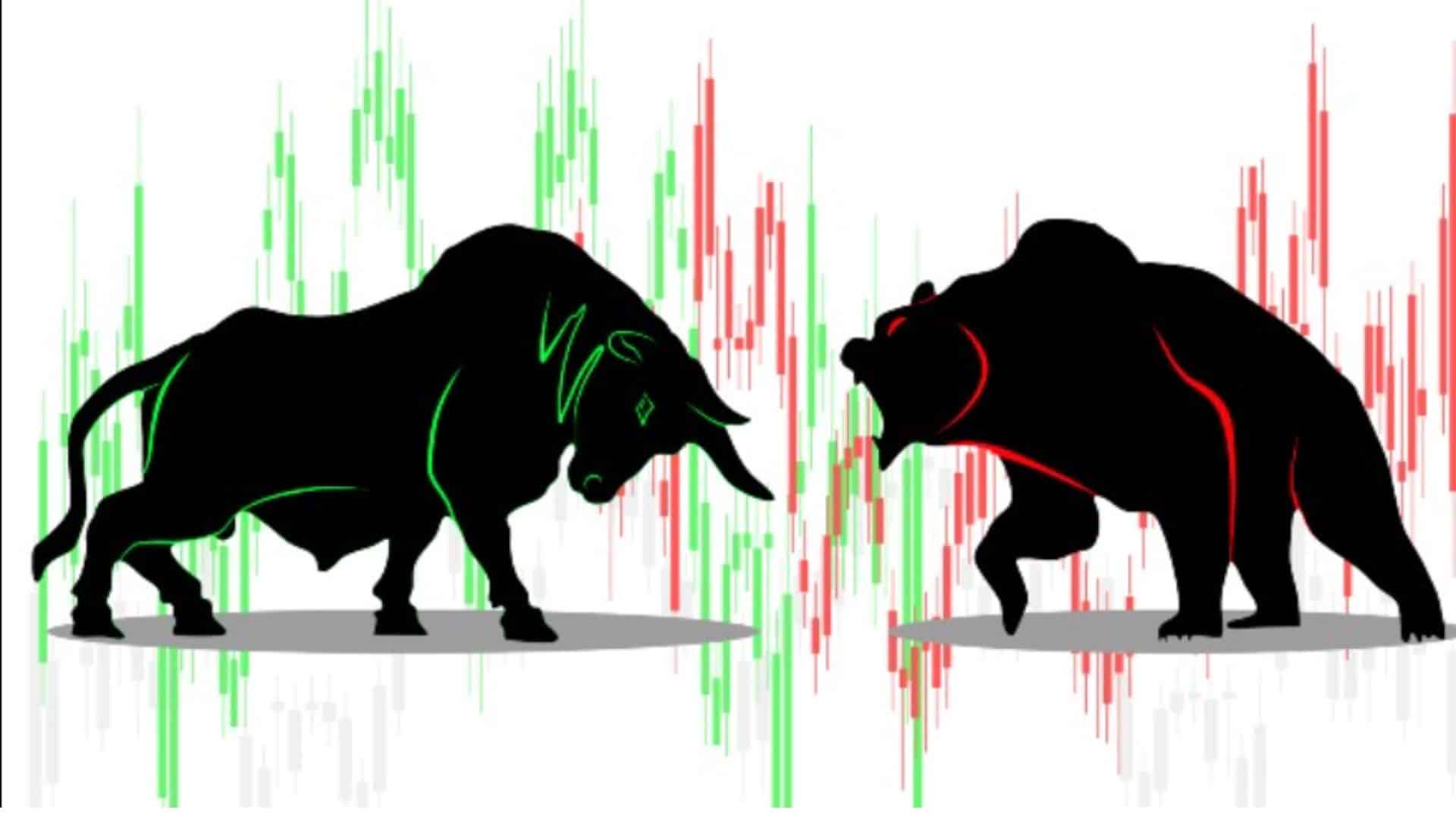 bull vs bear market difference