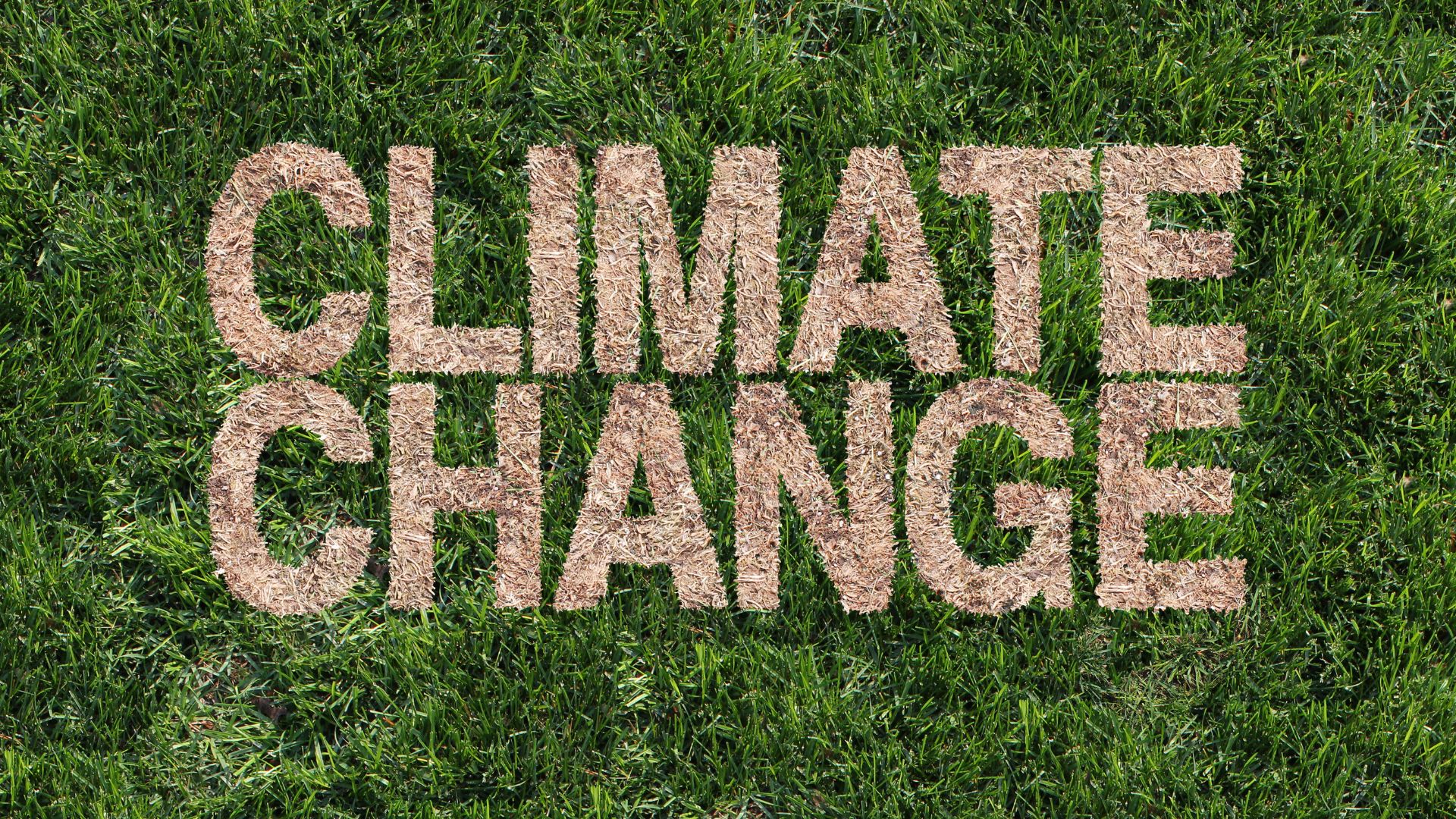 climate change security