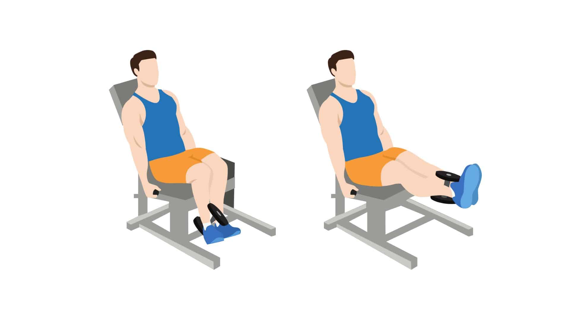seated leg exstensions