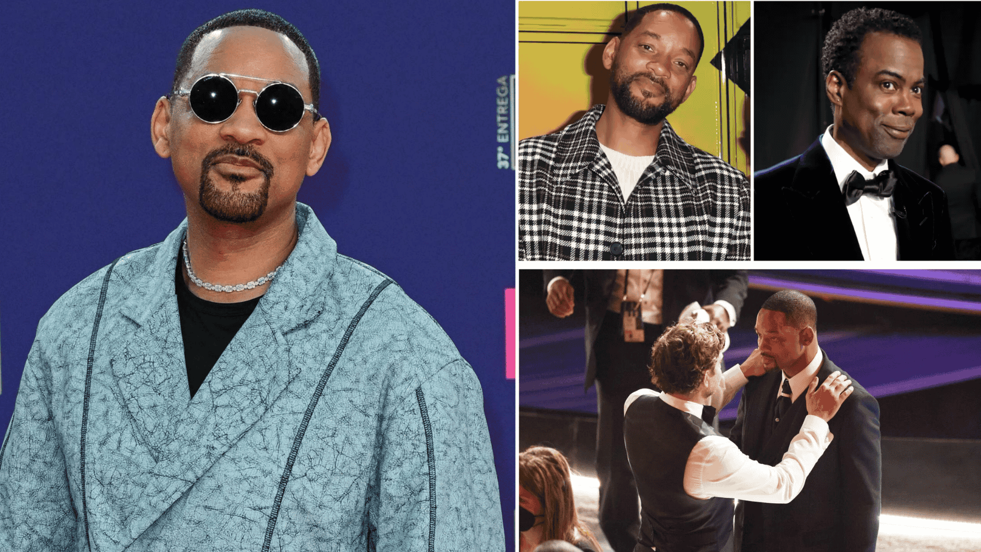 Life After the Slap: Career Shifts and Public Perception