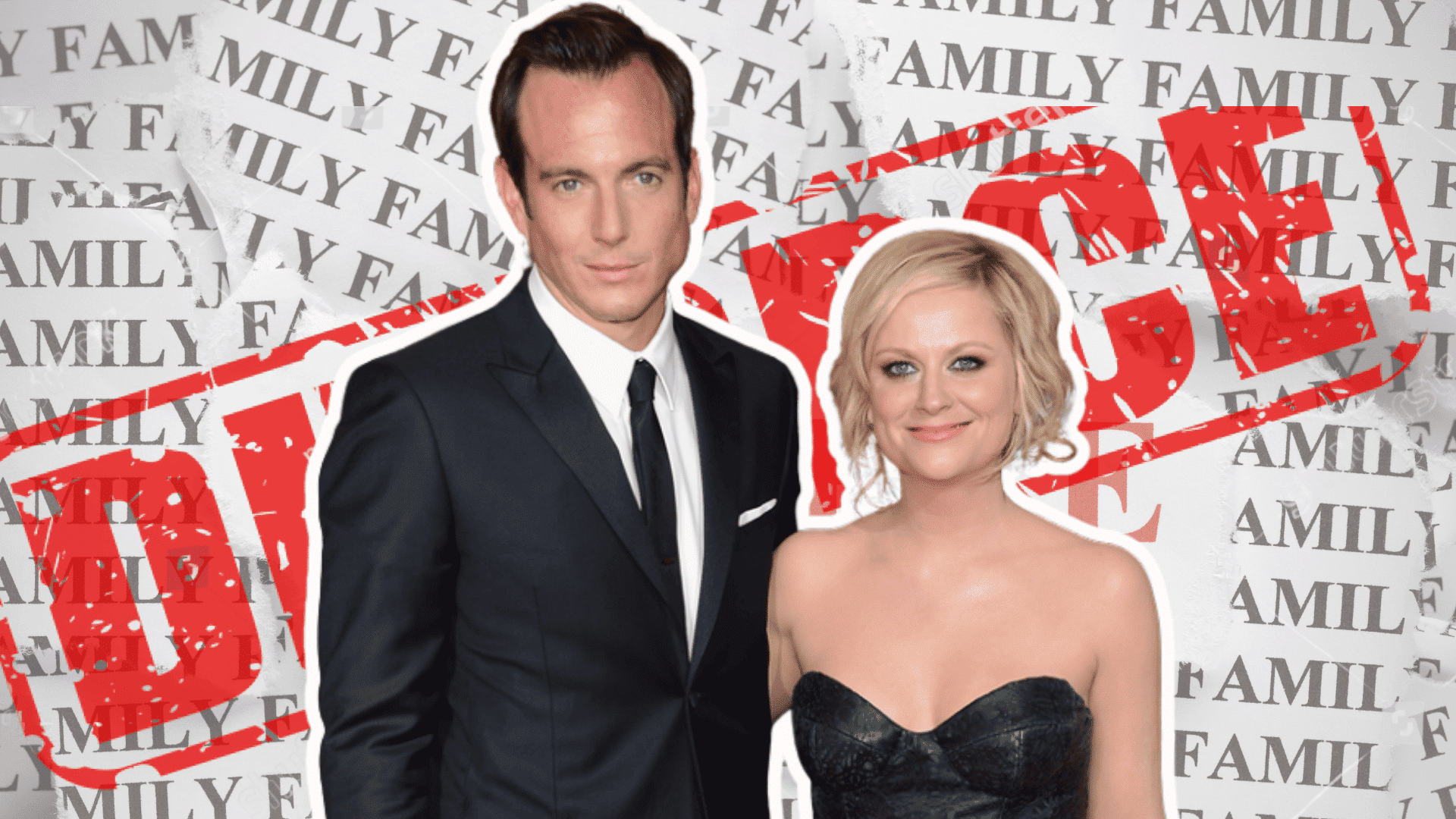Why Did Amy Poehler and Will Arnett Divorce