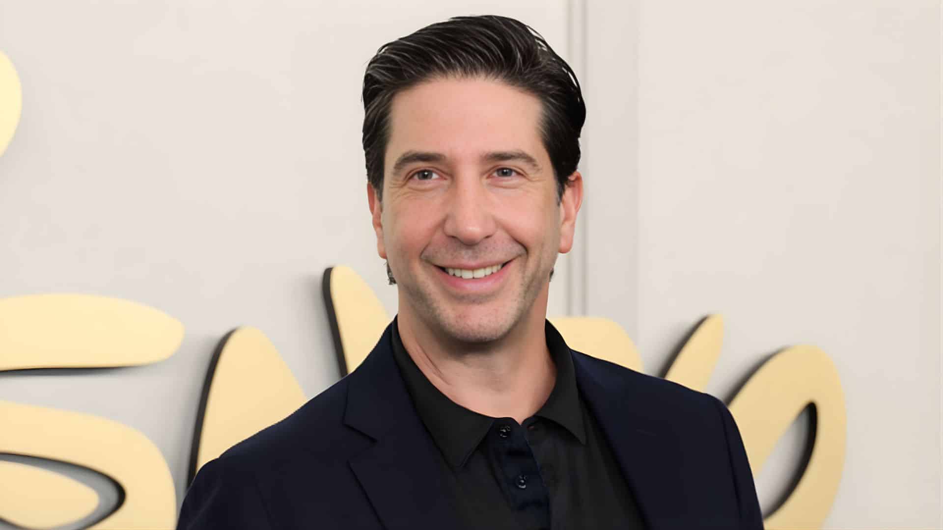 david schwimmer movies and tv shows