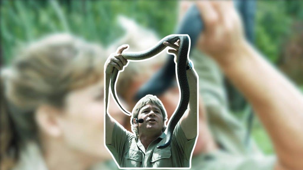 steve irwin handles a snake