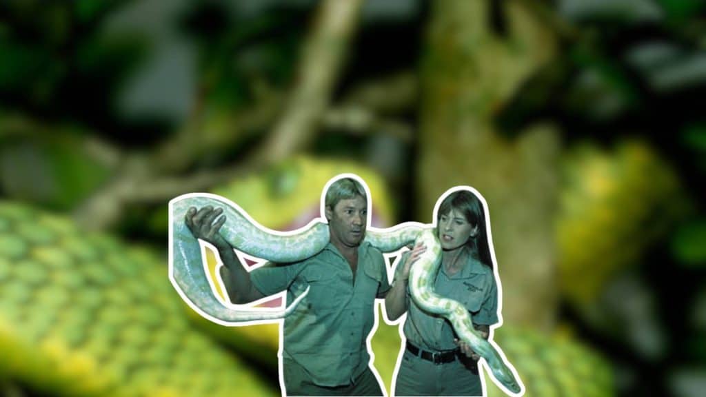 steve irwin handling a snake with his wife