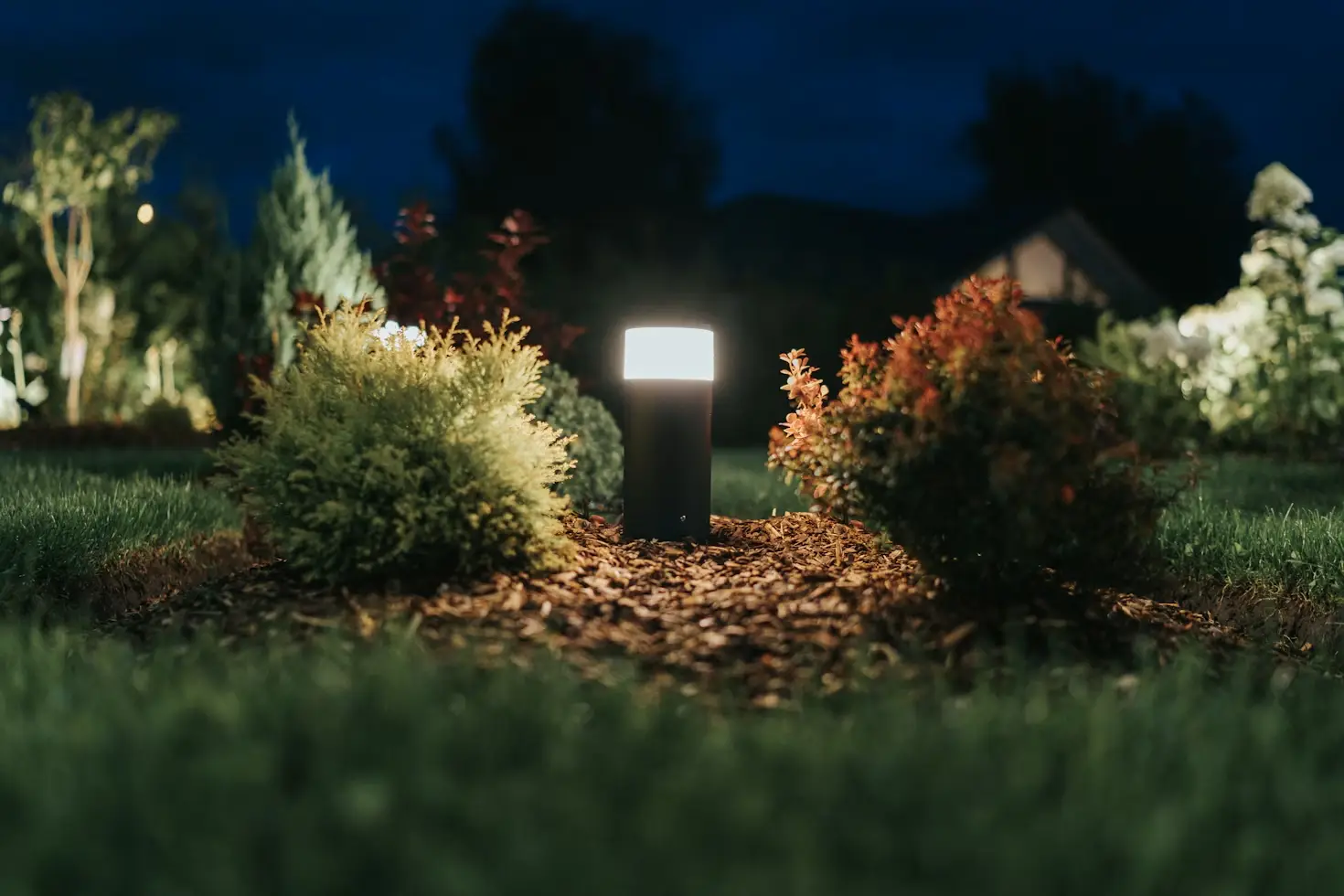 Outdoor garden with illuminated pathway light surrounded by shrubs at night