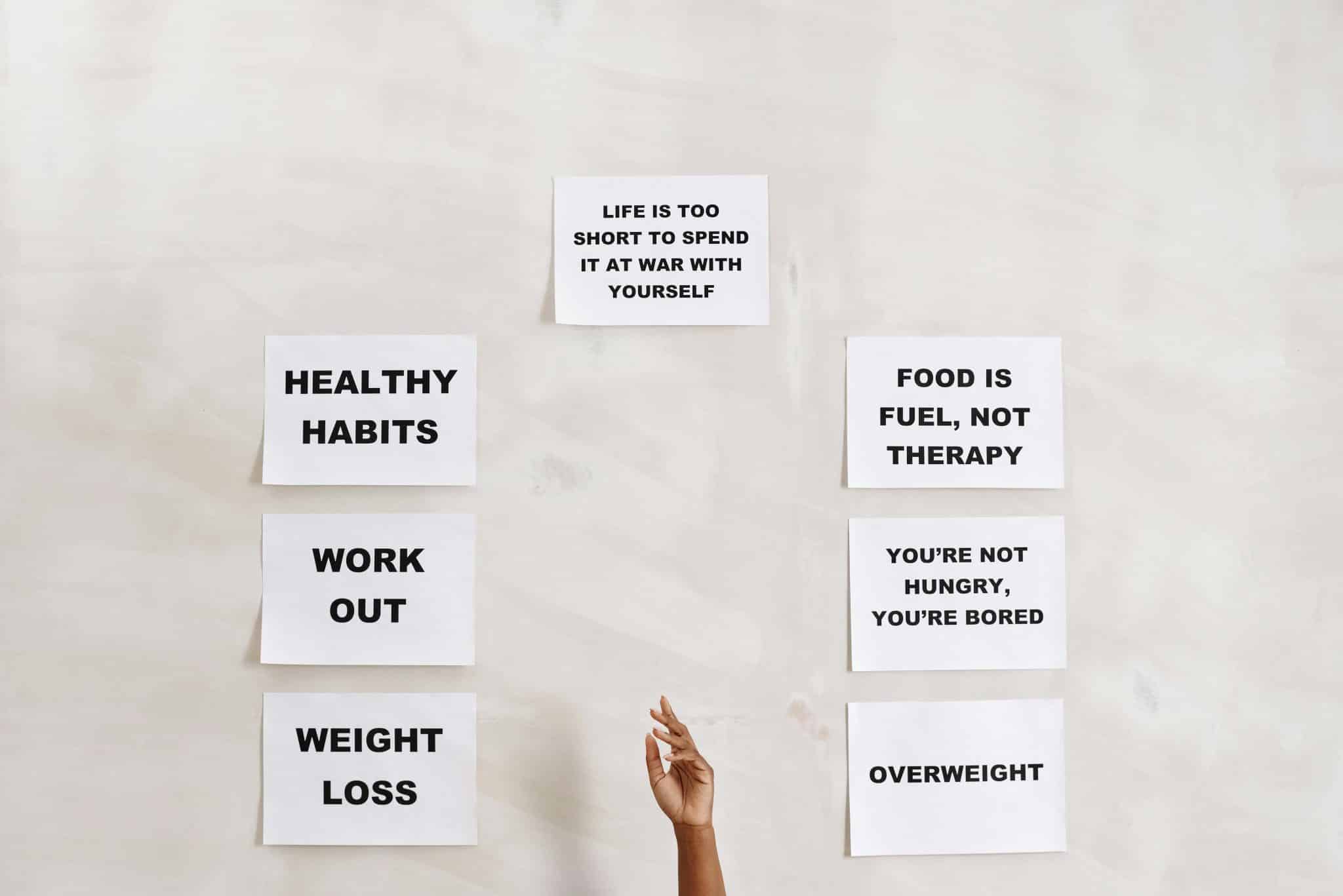 Everyday Wellness Habits That Help You Feel Your Best