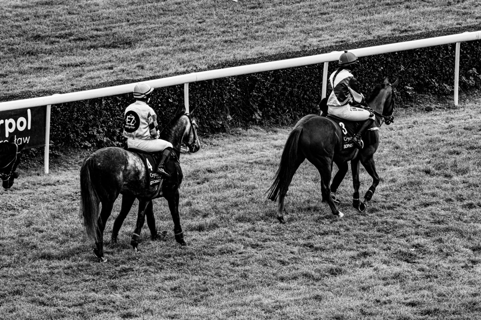 Daryz: Prince of Wales's Stakes