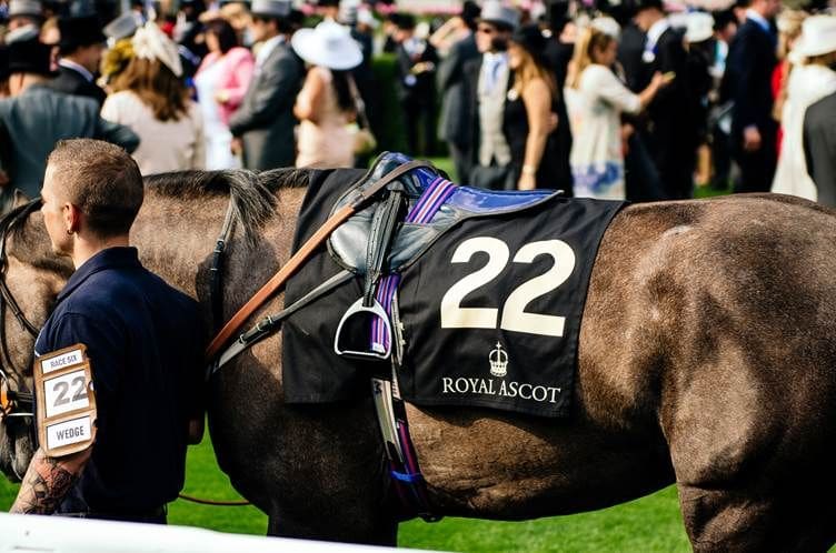 Five horses to watch at Royal Ascot 2026