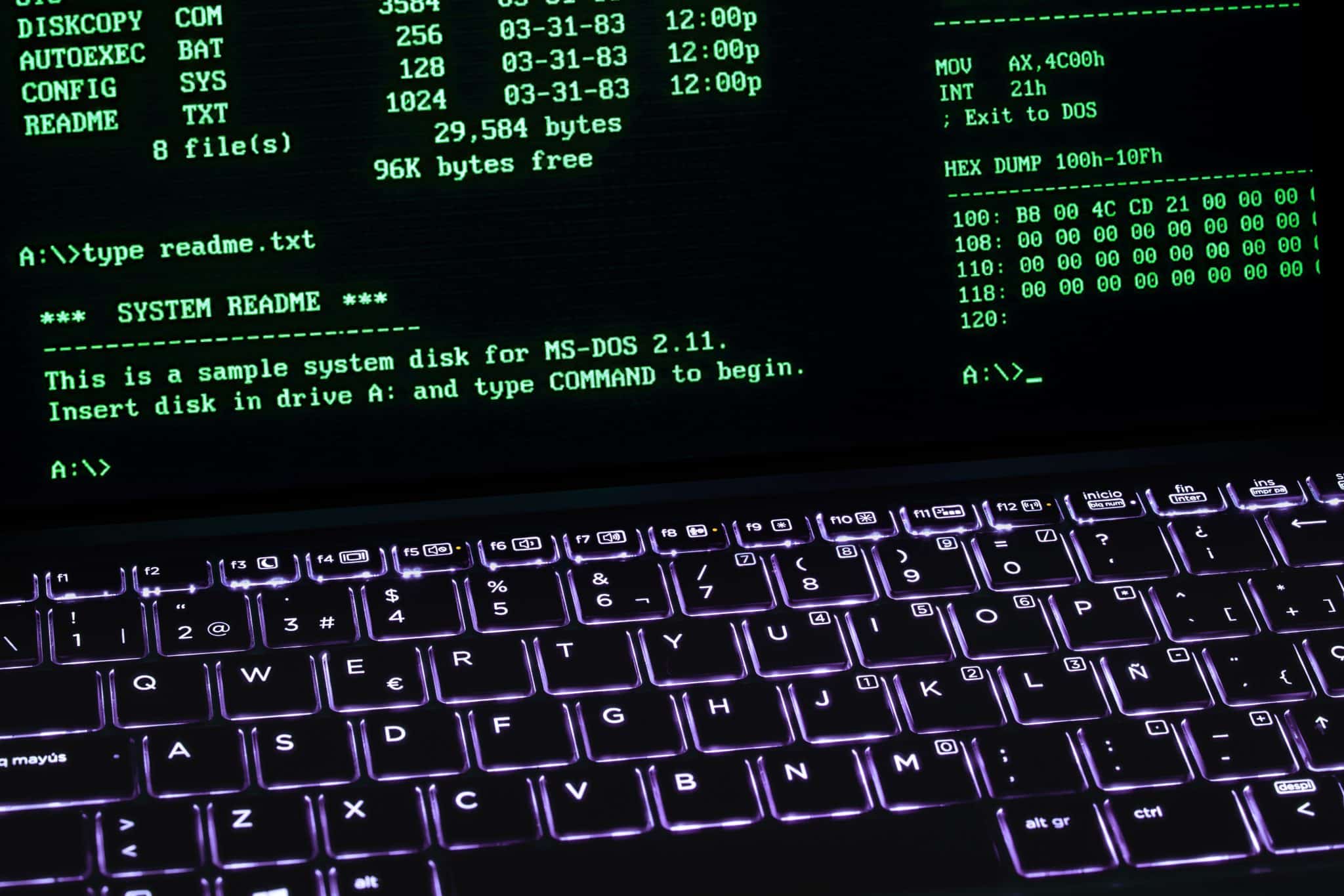 What Makes a Computer Suitable for Running Several Operating Systems at Once?